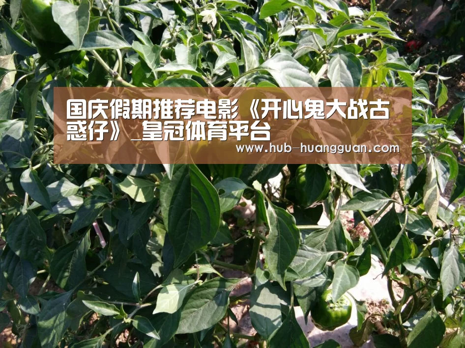 国庆假期推荐电影《开心鬼大战古惑仔》_皇冠体育平台