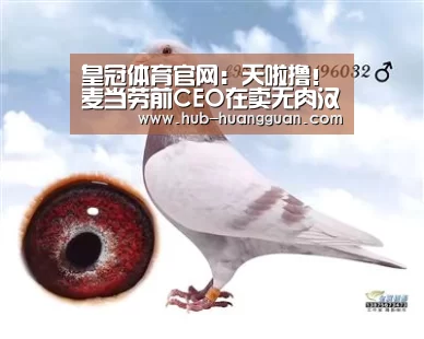 皇冠体育官网:天啦撸!麦当劳前CEO在卖无肉汉堡!!(图2) 皇冠体育